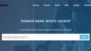 Screenshot of Hostwella Whois section.